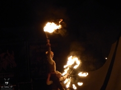 MPS_Maxlrain_2017_0110