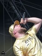 SummerBreeze2017_0130