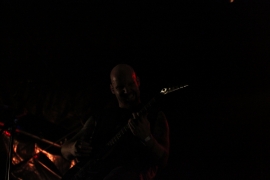 Wolfszeit 2016